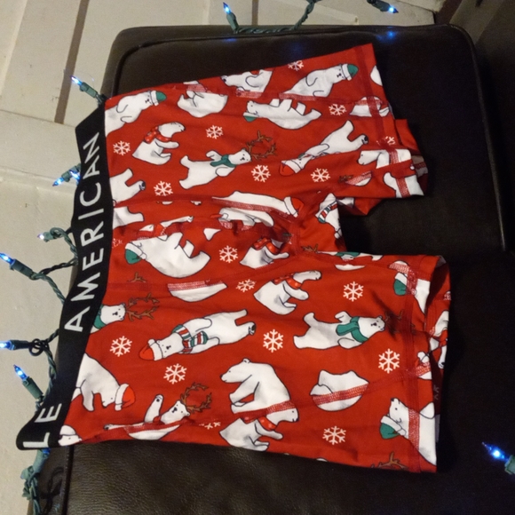 American Eagle boxer brief - Picture 2 of 4